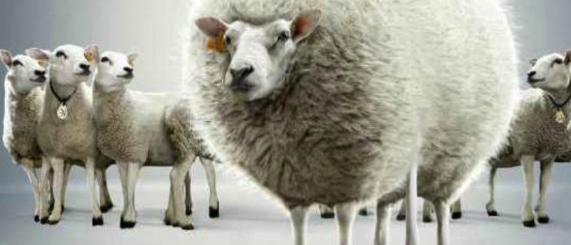 De opmars van de marketeer die alles kan, is niet meer te stoppen